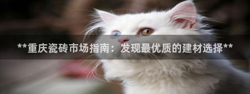 杏鑫娱乐开发团队