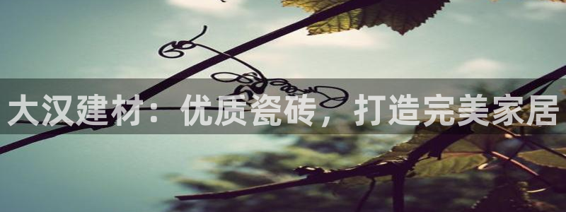 杏鑫平台是黑平台吗知乎