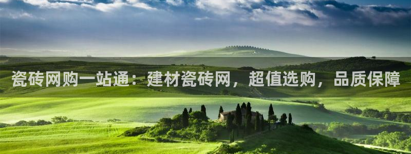 杏鑫招商总代