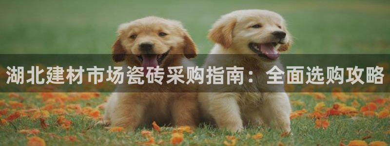 杏鑫娱乐官网登录不了