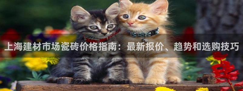 杏鑫娱乐官网下载