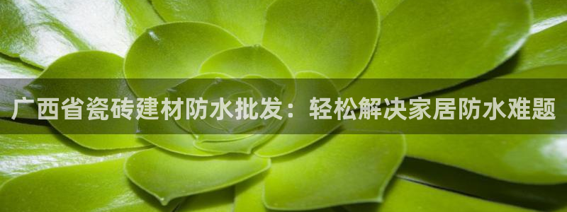 杏鑫平台招商电话