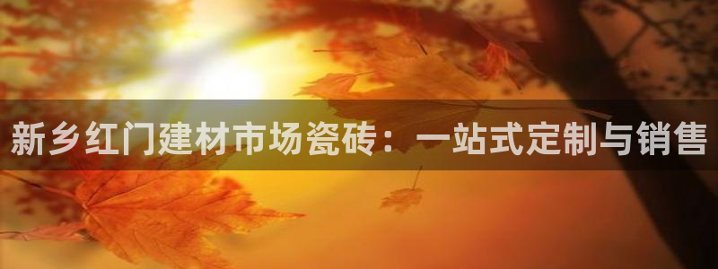 杏鑫平台代理怎么样赚钱