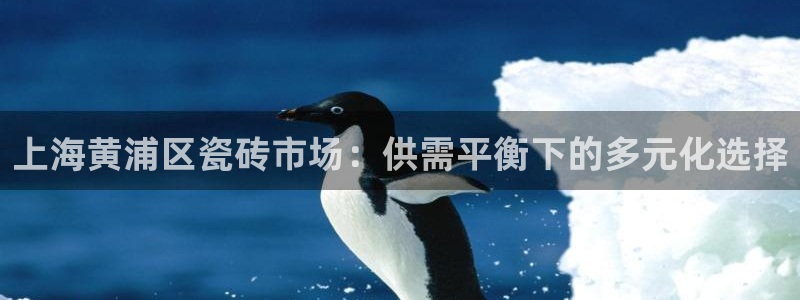 杏鑫娱乐开发团队