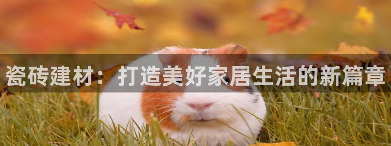 杏鑫官方平台怎么样啊安全吗