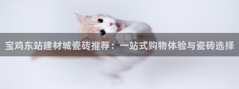 杏鑫平台代理注册多少钱啊