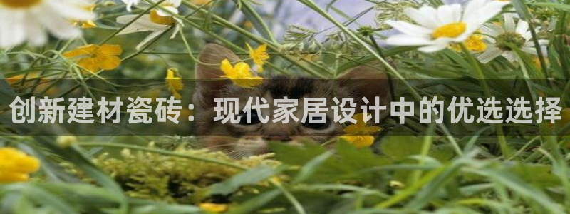 杏鑫平台是黑平台吗是真的吗