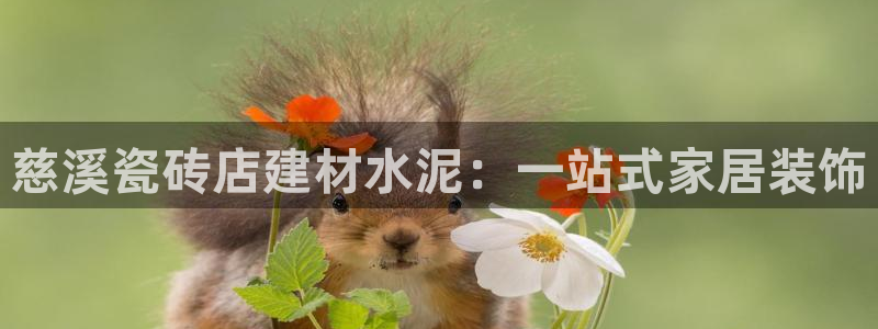 杏鑫官网注册账号密码是多少