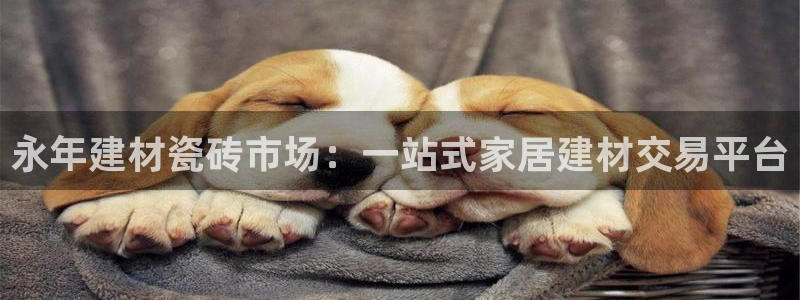 杏鑫官网最新信息新闻报道