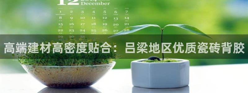 杏鑫平台注册地址在哪里