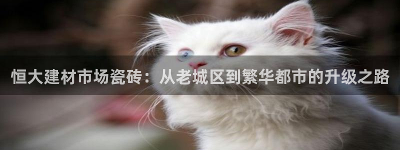 杏鑫平台招商