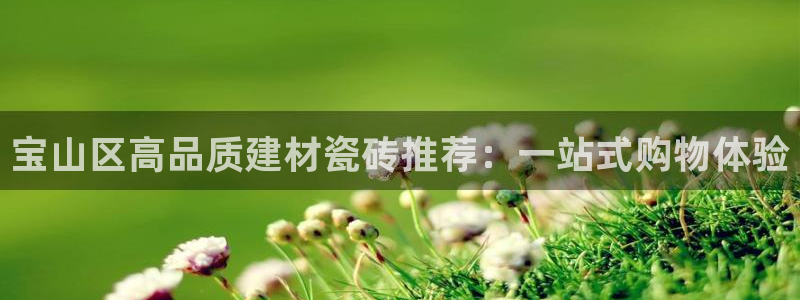 杏鑫官方app代理