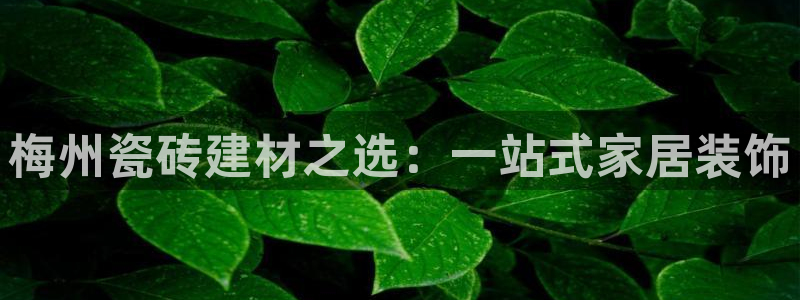 杏鑫平台测速怎么样
