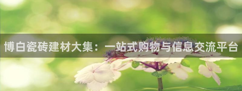 杏鑫官方平台怎么样啊知乎