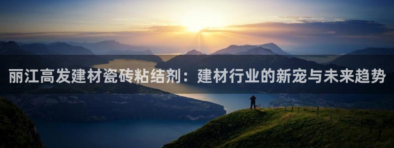 杏鑫招商总代