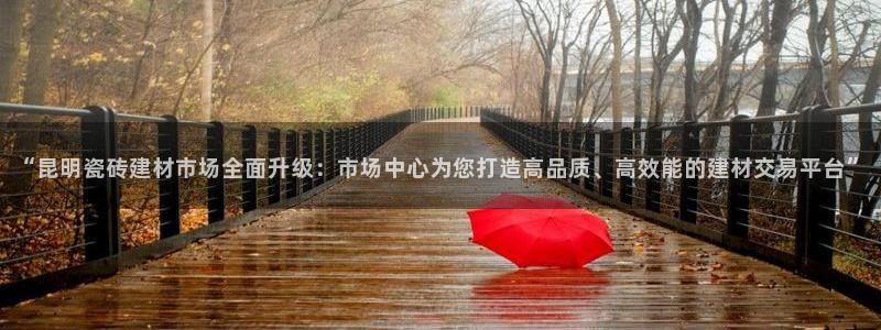 杏鑫娱乐怎么下