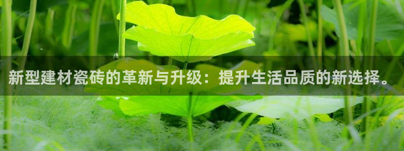 杏鑫娱乐平台登录注册网站