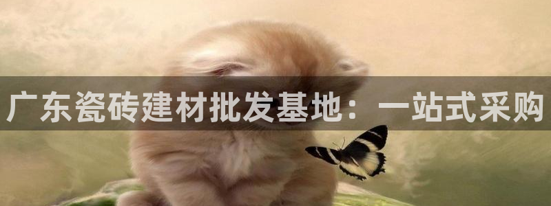 杏鑫官网注册账号密码