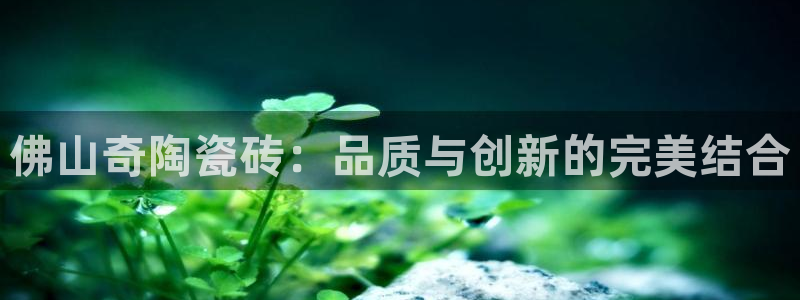杏鑫平台官方网站