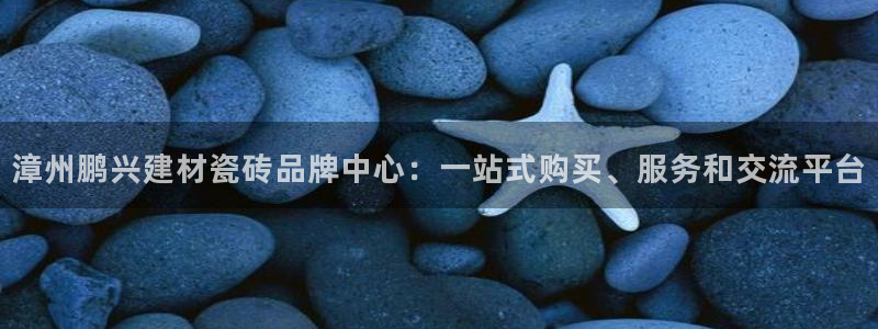 杏鑫代理注册资金多少