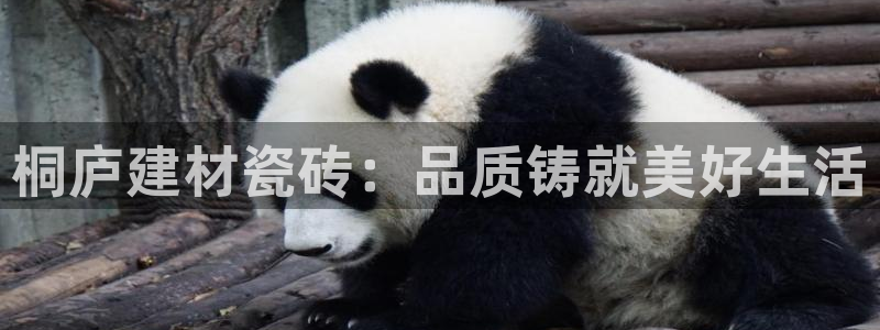 杏鑫娱乐是合法的吗?