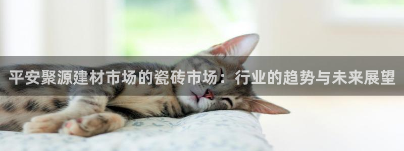 杏鑫官方平台怎么样啊