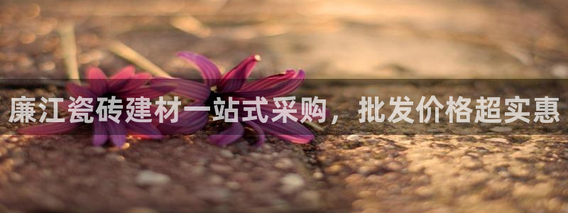 杏鑫平台注册网址