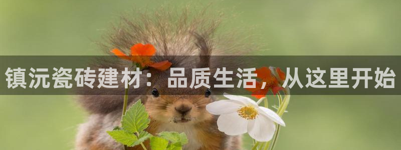 杏鑫平台注册地址是哪里