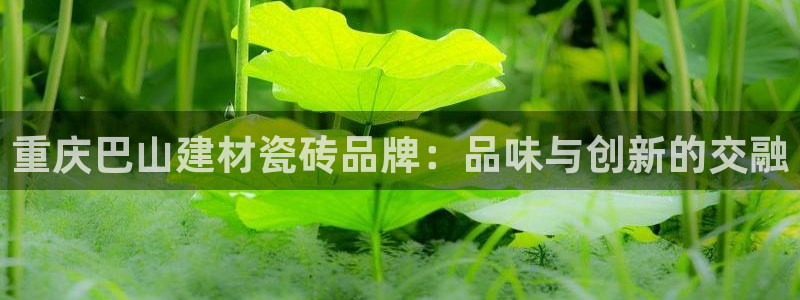 杏鑫官方平台怎么样