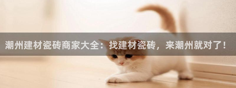 杏鑫平台野马联盟怎么样