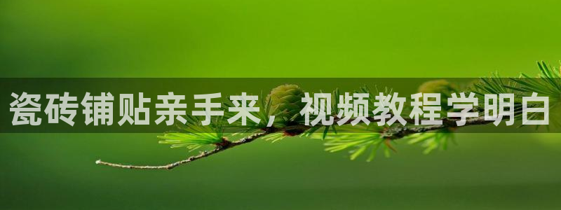 杏鑫有亏损返点吗