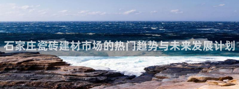 杏鑫平台代理注册流程及费用